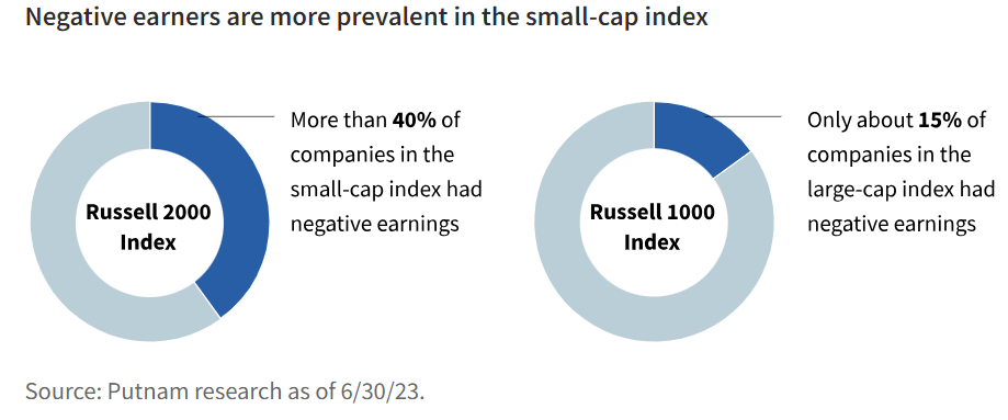Negative earners are more prevalent in the small-cap index