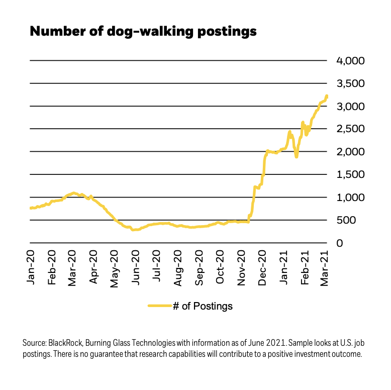 Dog walking graph