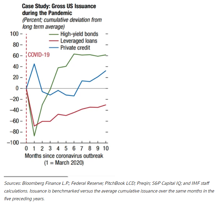 Gross US Issuance during pandemic