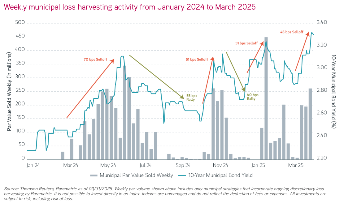 Weekly municipal loss harvesting activity from January 2024 to March 2025