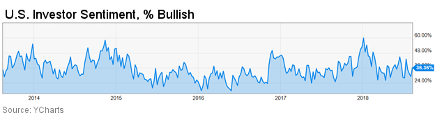 US investor sentiment