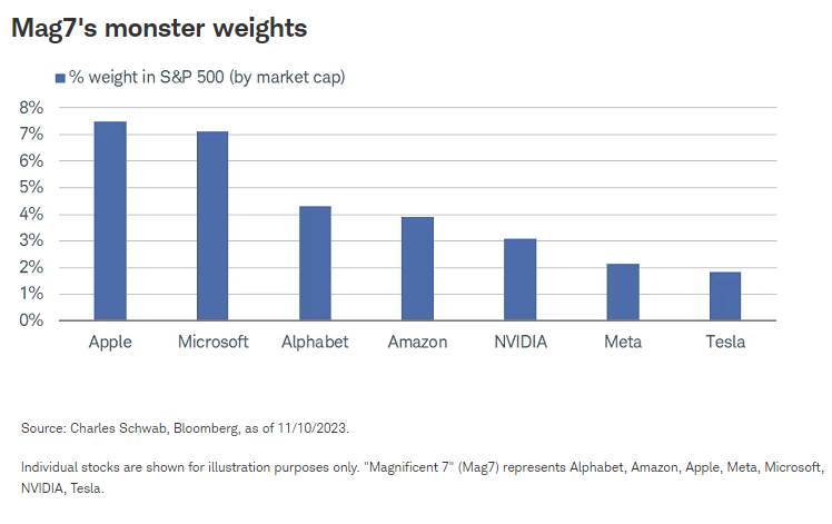 Mag7's monster weights