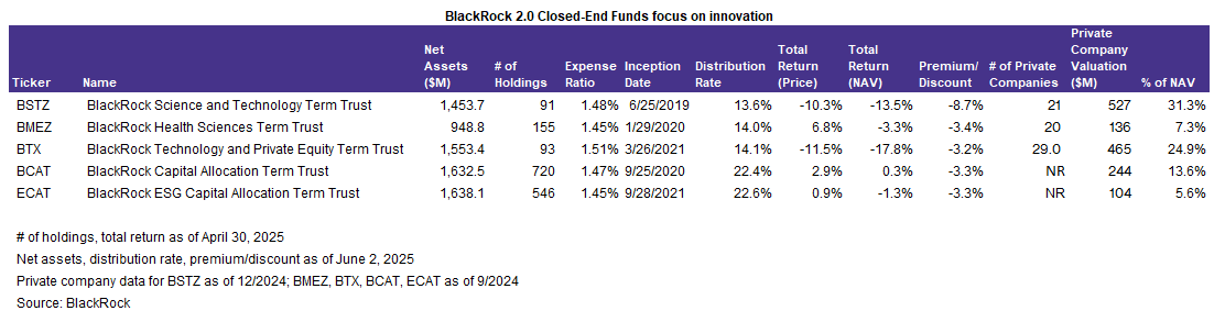 BlackRock 2.0 Closed-End Funds focus on innovations