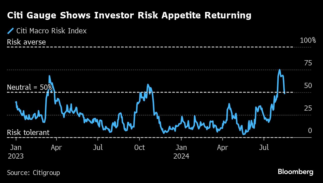 citi gauge