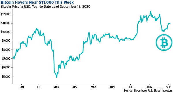 bitcoin hovers near $11,000
