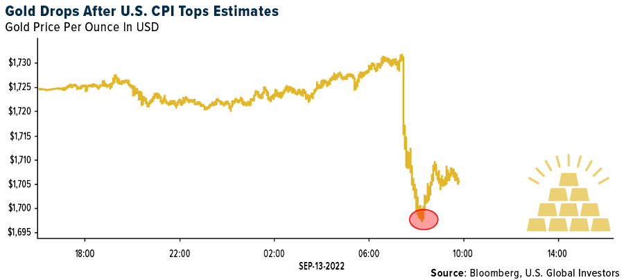 Gold Drops After U.S. CPI Tops Estimates