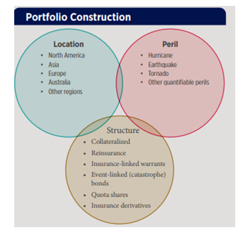 portfolio construction