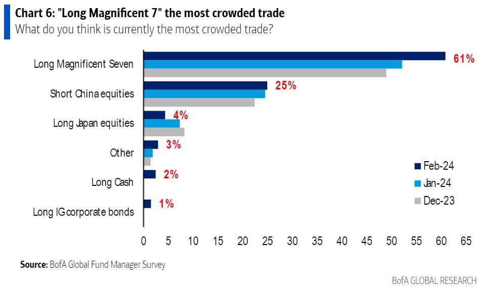 Long Magnificent 7 the Most Crowded Trade