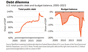 Debt dilemma
