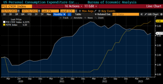  US Personal Consumption Expenditure