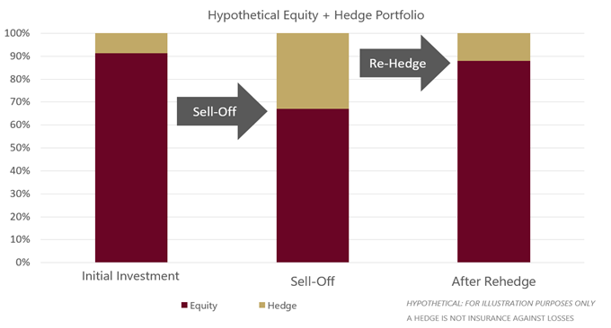 Hypothetical equity plus hedge portfolio