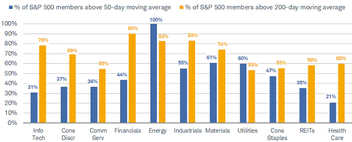 Energys Fresh Breadth