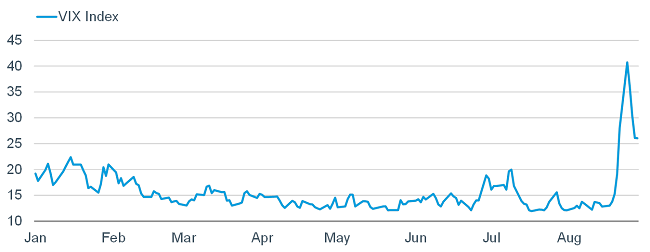 VIX Index