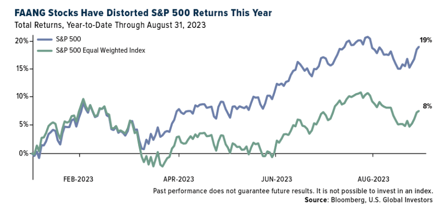 FAANG stocks