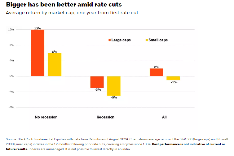 Avg return by market cap 1 year from first rate cut