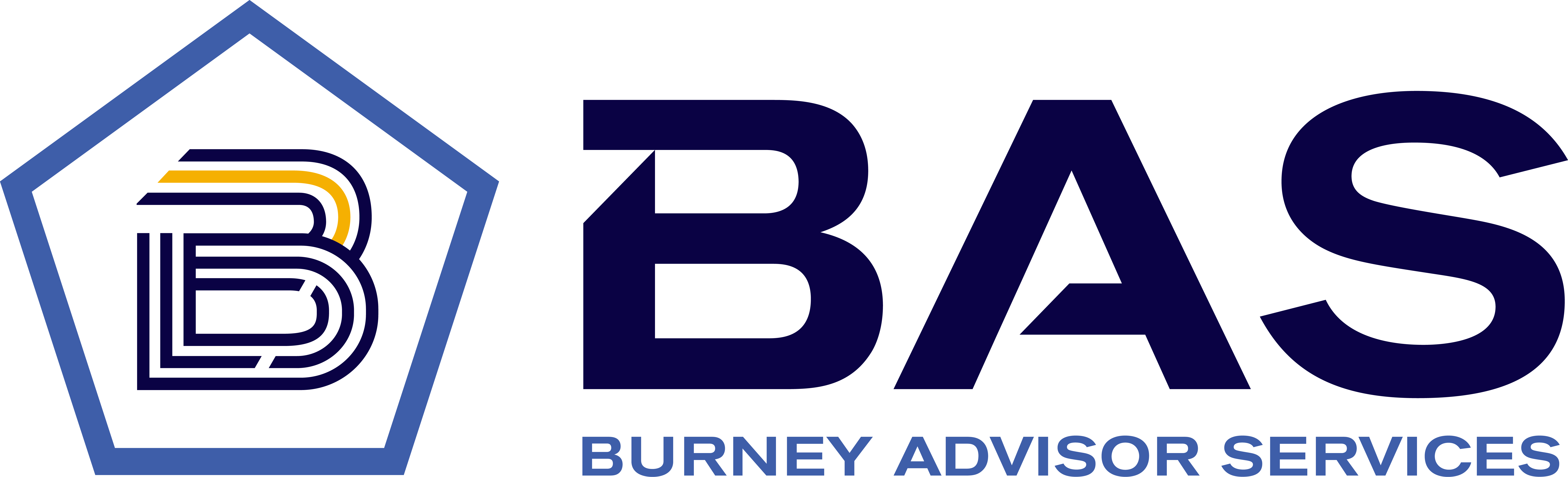Burney Advisor Services